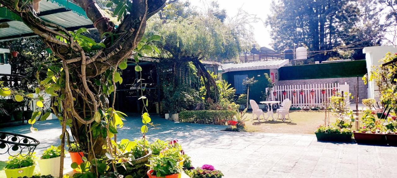 Olive Greens Homestay Dehradun Zewnętrze zdjęcie