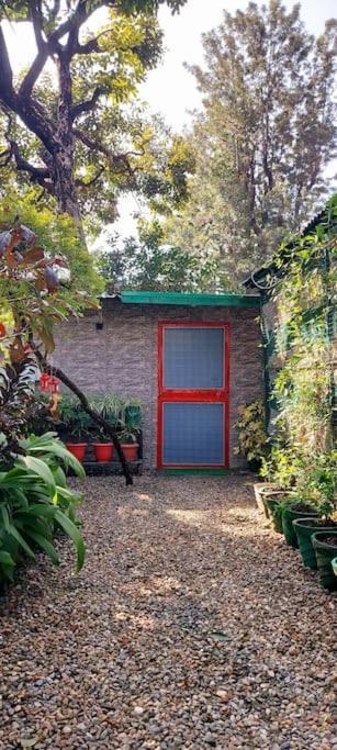 Olive Greens Homestay Dehradun Zewnętrze zdjęcie